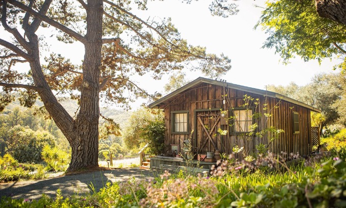 Arroyo Grande Cabin | Rustic Charm in the Quiet Countryside: Olive Tree Cabin