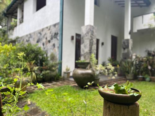 Sirimalwatta House | Rustic Mahaweli