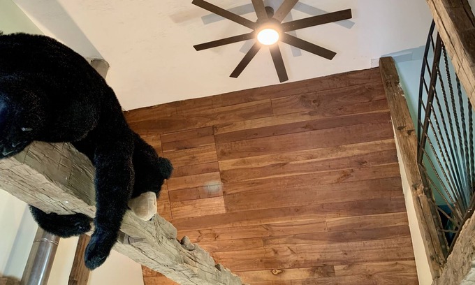 Lancaster Cabin | Rustic Retreat for up to 16 guests on a beautiful 350 acre private property