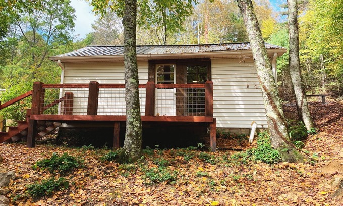 Roan Mountain Cottage | Rustic Ridge a tiny home close to hiking and skiing!