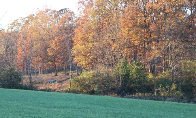 Sparta RV Rental | RV Resort in between Sparta and Crossville with Full Hook Up Sites