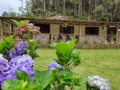 Santa Teresa House | Sítio das Águas