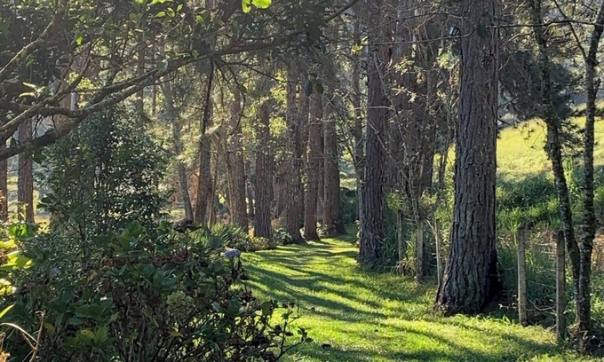 Juquitiba Cottage | Sítio do Mingo: Country house - The best of nature close to São Paulo!