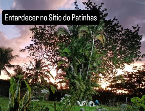 Campo Alegre Other | Sítio do patinhas