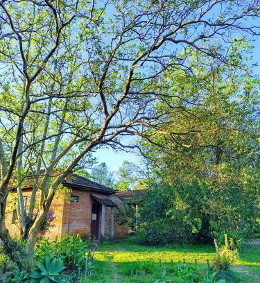 Vera Cruz House | Sítio do Vô Germano