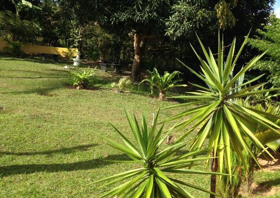 Arembepe House | Sítio FWG