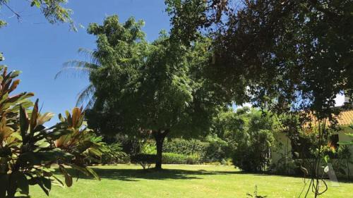 Jenipabu Ski Chalet | Sítio tranquilo perto da Praia de Guarajuba POND