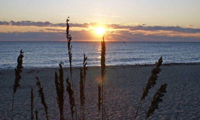 Parrot Cove Bed & Breakfast | Sabal Palm House Bed & Breakfast