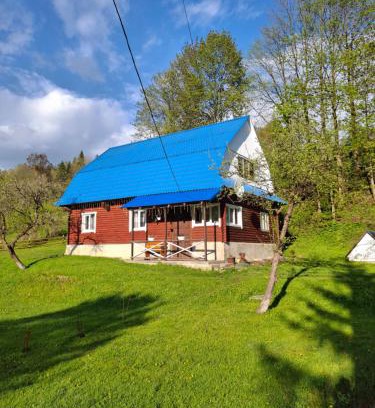 Plavya House | Sadyba na Luzi