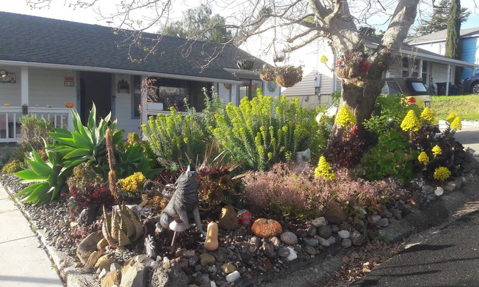 Benicia House | Safe, Cozy, Clean, Quiet, Home in Family-Friendly Residential Neighborhood.