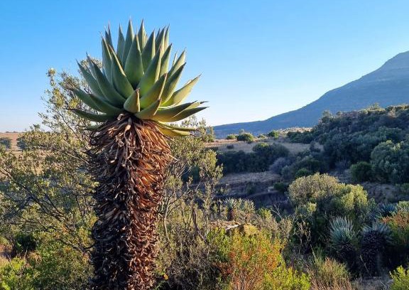 Maletswai House | Saffier river cottage Farmstay