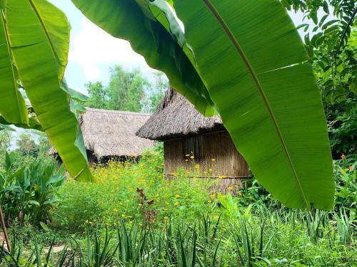 District 12 House | Saigon Garden Homestay