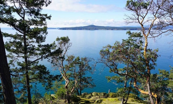 Pender Island Villa | SaliHaven: Oceanfront 4Bedrom 3.5Bath 3Min to Lake