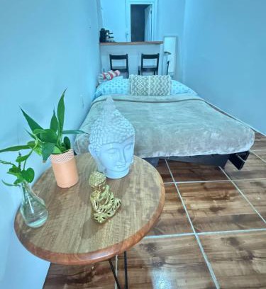 Santurce Apartment | Salo Casa Verde Studio