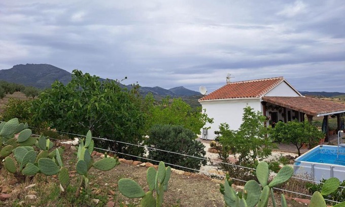 Alozaina House | Salvador