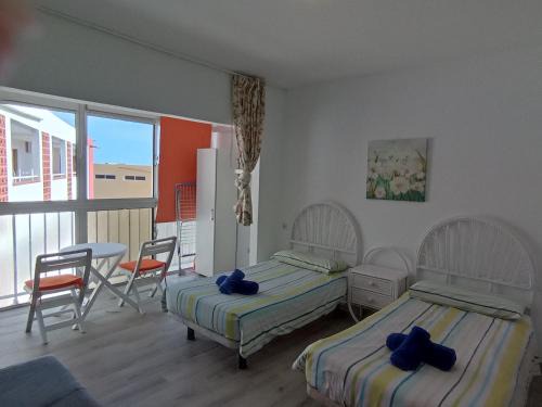 San Agustin Apartment | San Agustín Studio