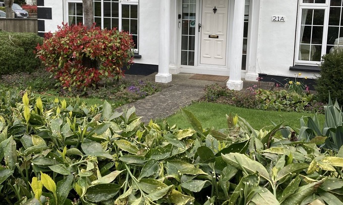 Swords Bed & Breakfast | San Augustine Bed & Breakfast