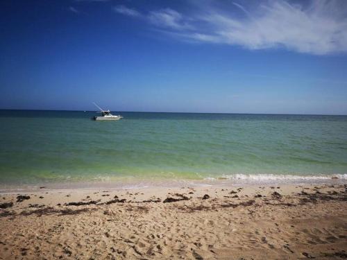 Dzemul Hotel | San Bruno TROPICAL Villa With POOL