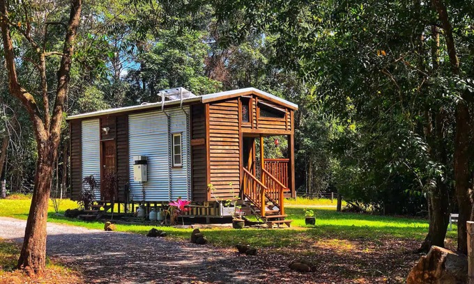 Verrierdale Cabin | Sanctuary Cabin: Solo-Friendly Retreat w/Loft, Burner & Solar Power