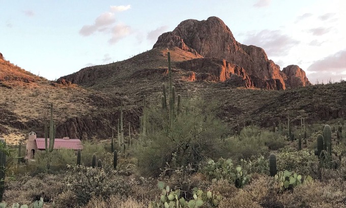 Tucson Cottage | Sanctuary Cove's Guest Cottage is surrounded by 80 acres of pristine Desert.