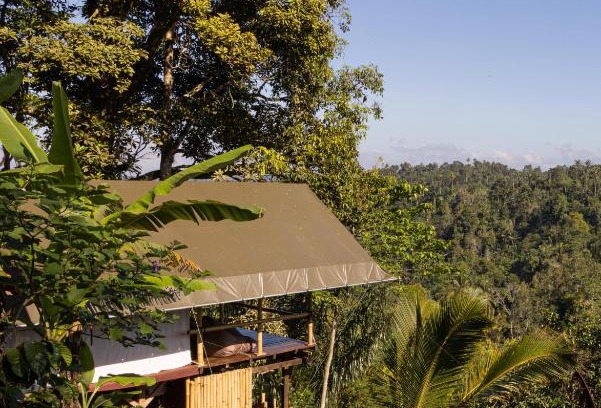 Pupuan Other | Sanda Plantation Hideaway