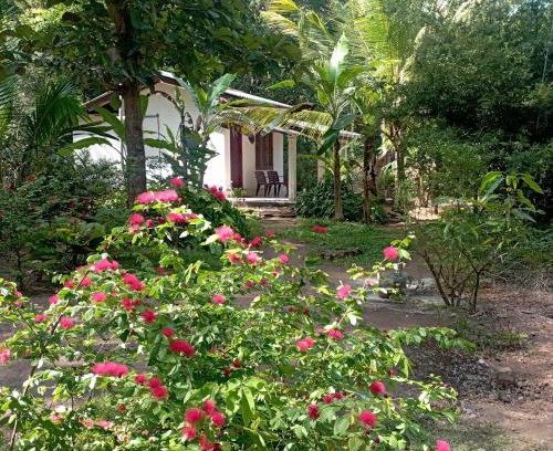 Habarana House | Sanjana Home Stay