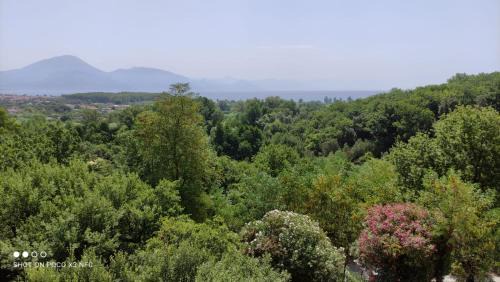 Santa Marina Apartment | Santa Lucia