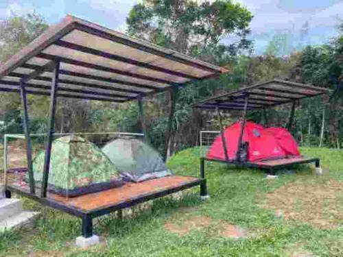 San Rafael Other | Santa María del Río