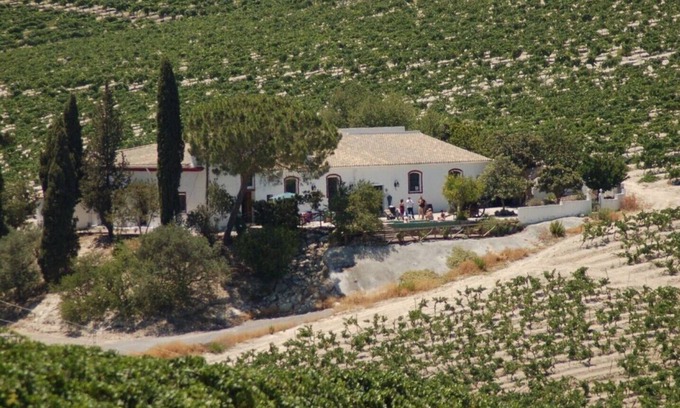 Jerez de la Frontera House | Santa Petronila Vineyard, Santa Petronila Vineyard