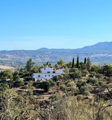 Cartama Bed & Breakfast | Santa Teresa Bed & Breakfast Andalusien