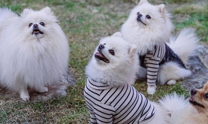 Geoje House | Santamonica Pension