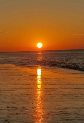 Afife Apartment | Santiago Afife Beach