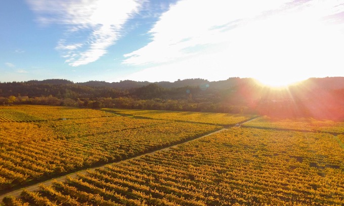 Healdsburg Cottage | Santini Farmhouse | A Wine Country Escape