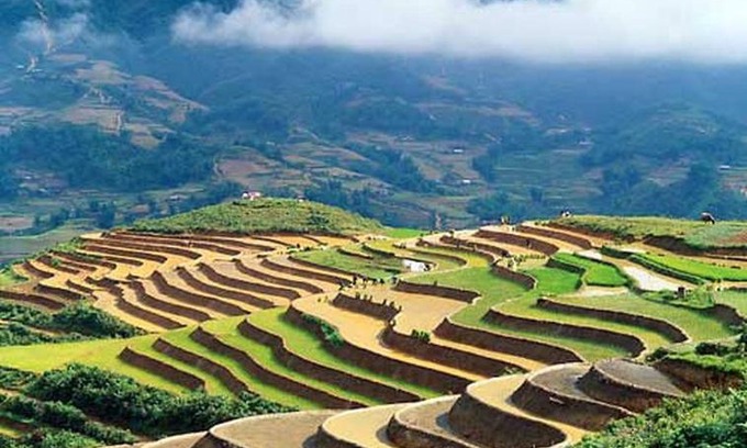 Lao Cai House | Sapa Homestay Trekking Tour For Backpackers