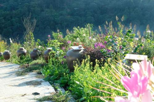 Sa Pa Ski Chalet | Sapawine Homestay