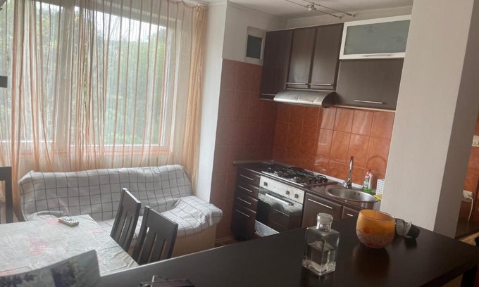 Tirgu Mures Apartment | Sara House