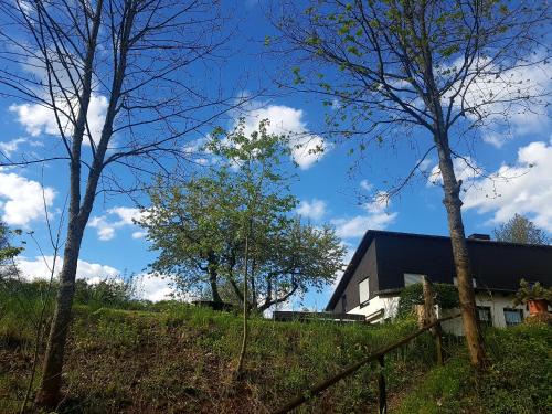 Hallenberg Apartment | Sauerland Alm Winterberg 5