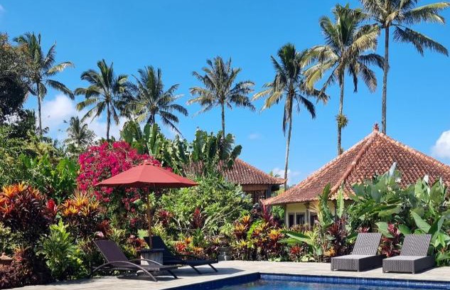 Pupuan Resort | Sava Eco Retreat