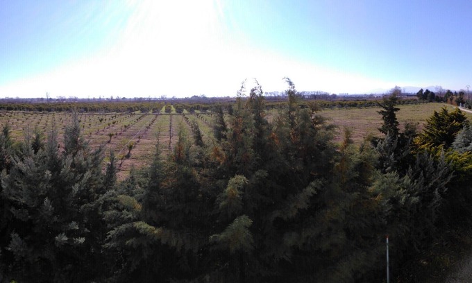 Scanzano Jonico House | Scanzano Ionico: holiday on a farm near the sea