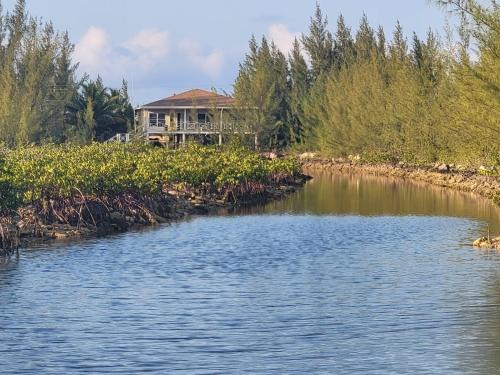 South Bimini House | Scena's Place