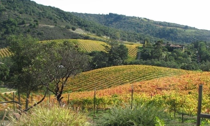 Fetters Hot Springs-Agua Caliente House | Scenic Hideaway w/Pool, Deck, Hot tub and beautiful Vineyard views