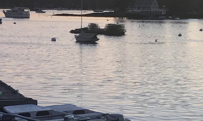 Boothbay Harbor House | Scenic water view II 🌅walking distance to restaurants shopping and boat excursions ! No car necessary !