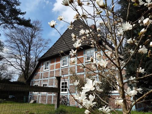 Asendorf Apartment | Schönes Apartment vor den Toren Hamburgs - keine Monteurwohnung