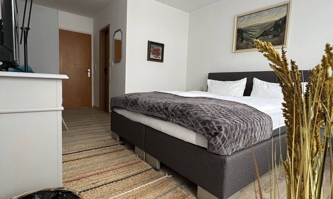 Steinsfeld Apartment | Schönes Doppelzimmer mit Balkon