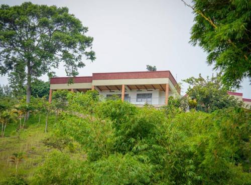 Gitarama Bed & Breakfast | Schodale home