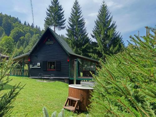Lunca Bradului Ski Chalet | Schwarz Kabin