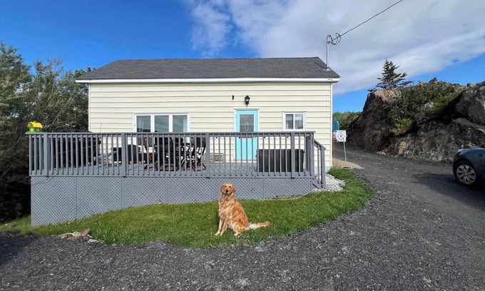 Twillingate House | Scout's House Summary