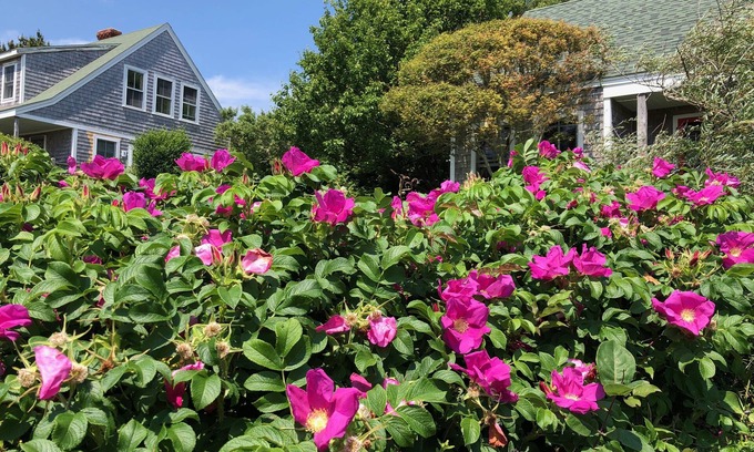 Block Island Bed & Breakfast | Sea Breeze Inn
