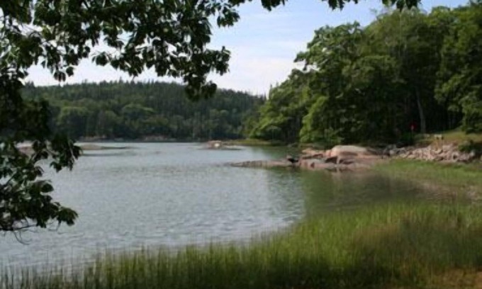 Deer Isle House | Sea Green Cottage - Delightful tidal oceanfront camp