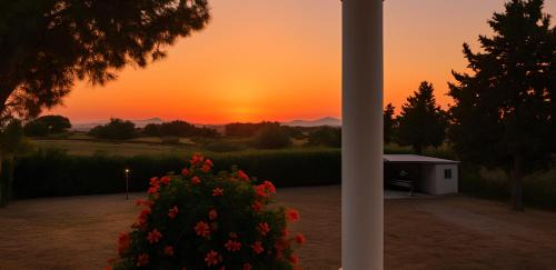 Tingaki Apartment | Sea & Olive Retreat